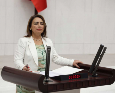 CHP Adana Milletvekili Müzeyyen Şevkin: Geleceğin şampiyonları yolda kalıyor